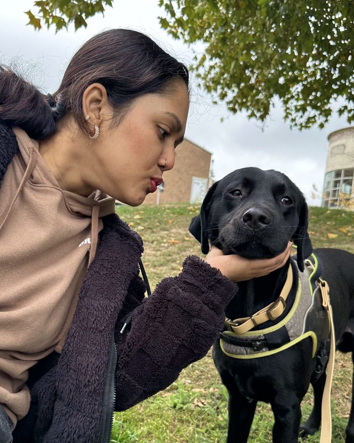 Anju making friends with a black Labrador in the park
